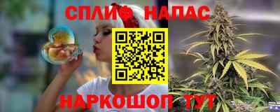 спиды Донской