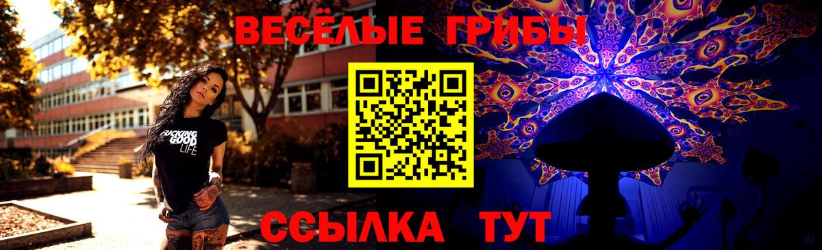Галлюциногенные грибы прущие грибы Барабинск